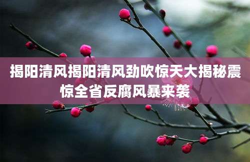 揭阳清风揭阳清风劲吹惊天大揭秘震惊全省反腐风暴来袭