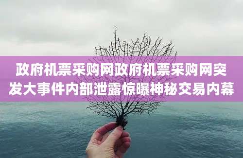 政府机票采购网政府机票采购网突发大事件内部泄露惊曝神秘交易内幕