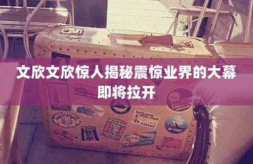 文欣文欣惊人揭秘震惊业界的大幕即将拉开