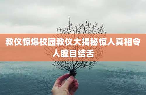 教仪惊爆校园教仪大揭秘惊人真相令人瞠目结舌