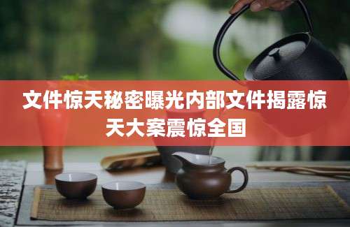 文件惊天秘密曝光内部文件揭露惊天大案震惊全国