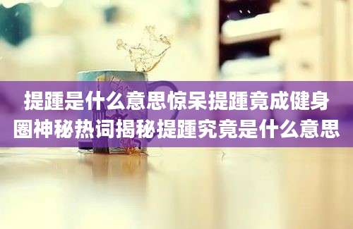提踵是什么意思惊呆提踵竟成健身圈神秘热词揭秘提踵究竟是什么意思
