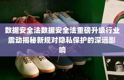 数据安全法数据安全法重磅升级行业震动揭秘新规对隐私保护的深远影响