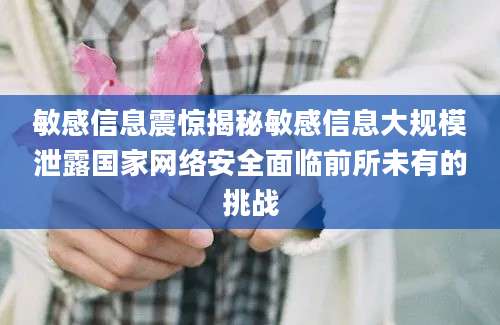 敏感信息震惊揭秘敏感信息大规模泄露国家网络安全面临前所未有的挑战