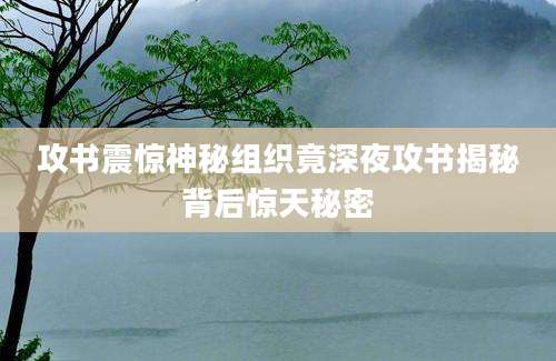 攻书震惊神秘组织竟深夜攻书揭秘背后惊天秘密