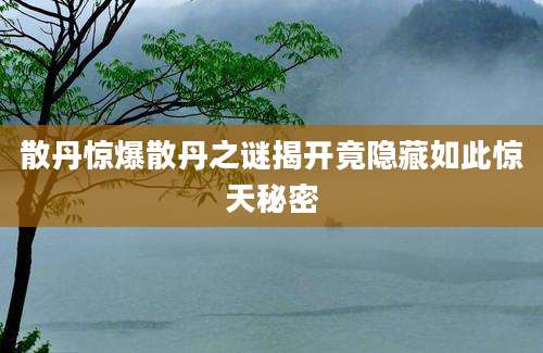 散丹惊爆散丹之谜揭开竟隐藏如此惊天秘密