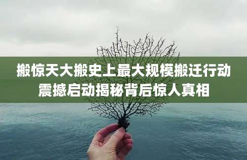 搬惊天大搬史上最大规模搬迁行动震撼启动揭秘背后惊人真相