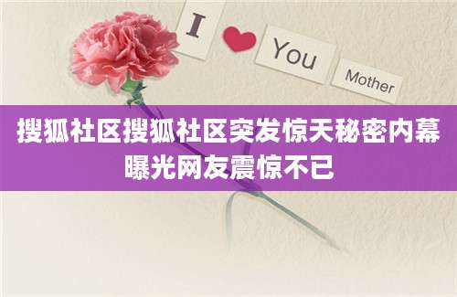搜狐社区搜狐社区突发惊天秘密内幕曝光网友震惊不已