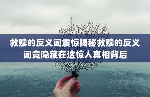 救赎的反义词震惊揭秘救赎的反义词竟隐藏在这惊人真相背后