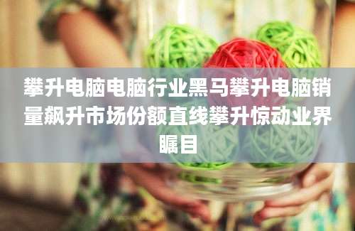 攀升电脑电脑行业黑马攀升电脑销量飙升市场份额直线攀升惊动业界瞩目