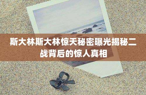 斯大林斯大林惊天秘密曝光揭秘二战背后的惊人真相