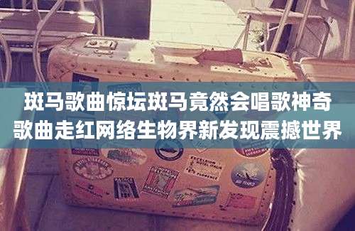 斑马歌曲惊坛斑马竟然会唱歌神奇歌曲走红网络生物界新发现震撼世界