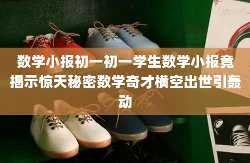 数学小报初一初一学生数学小报竟揭示惊天秘密数学奇才横空出世引轰动