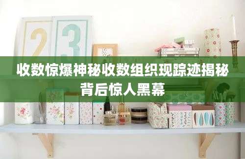 收数惊爆神秘收数组织现踪迹揭秘背后惊人黑幕