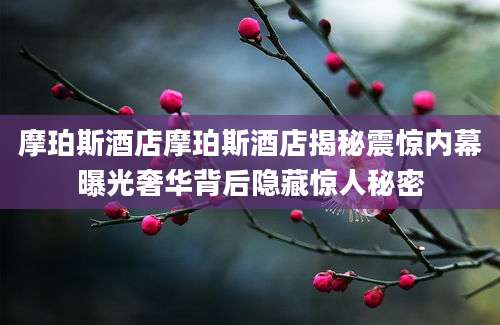 摩珀斯酒店摩珀斯酒店揭秘震惊内幕曝光奢华背后隐藏惊人秘密