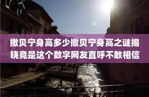 撒贝宁身高多少撒贝宁身高之谜揭晓竟是这个数字网友直呼不敢相信
