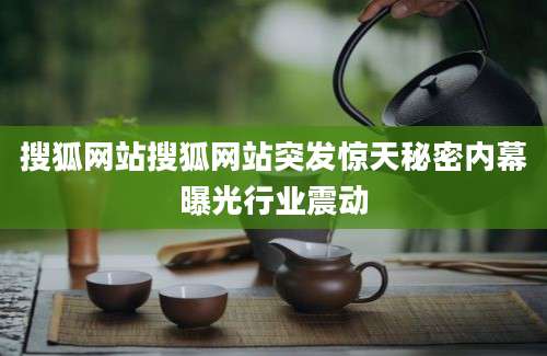 搜狐网站搜狐网站突发惊天秘密内幕曝光行业震动