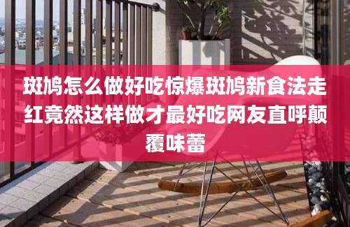 斑鸠怎么做好吃惊爆斑鸠新食法走红竟然这样做才最好吃网友直呼颠覆味蕾