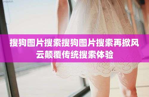 搜狗图片搜索搜狗图片搜索再掀风云颠覆传统搜索体验