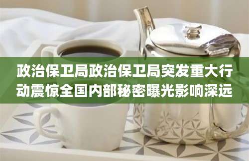 政治保卫局政治保卫局突发重大行动震惊全国内部秘密曝光影响深远