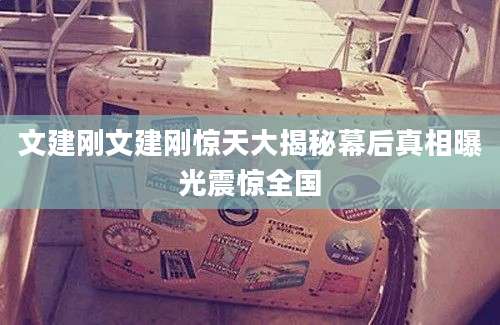 文建刚文建刚惊天大揭秘幕后真相曝光震惊全国