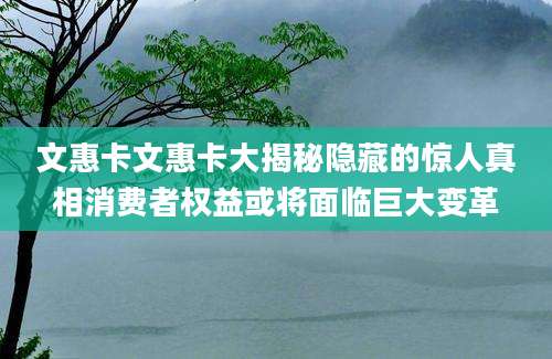 文惠卡文惠卡大揭秘隐藏的惊人真相消费者权益或将面临巨大变革