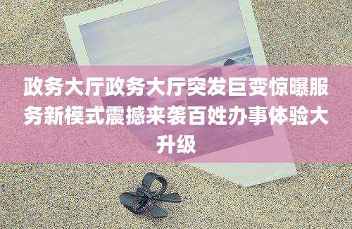 政务大厅政务大厅突发巨变惊曝服务新模式震撼来袭百姓办事体验大升级