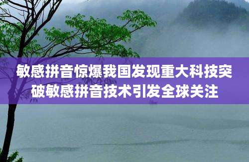 敏感拼音惊爆我国发现重大科技突破敏感拼音技术引发全球关注