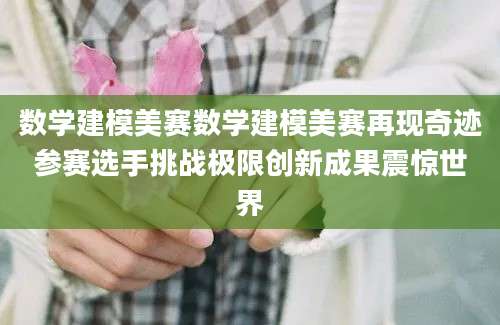数学建模美赛数学建模美赛再现奇迹参赛选手挑战极限创新成果震惊世界