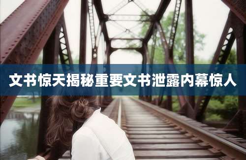 文书惊天揭秘重要文书泄露内幕惊人