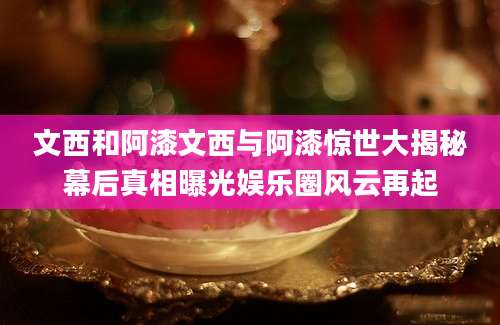 文西和阿漆文西与阿漆惊世大揭秘幕后真相曝光娱乐圈风云再起