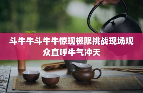 斗牛牛斗牛牛惊现极限挑战现场观众直呼牛气冲天