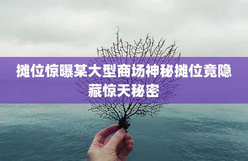摊位惊曝某大型商场神秘摊位竟隐藏惊天秘密