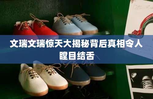 文瑞文瑞惊天大揭秘背后真相令人瞠目结舌