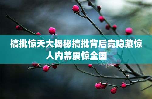 搞批惊天大揭秘搞批背后竟隐藏惊人内幕震惊全国