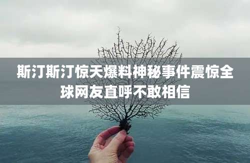 斯汀斯汀惊天爆料神秘事件震惊全球网友直呼不敢相信