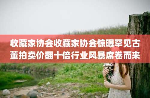 收藏家协会收藏家协会惊曝罕见古董拍卖价翻十倍行业风暴席卷而来