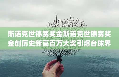 斯诺克世锦赛奖金斯诺克世锦赛奖金创历史新高百万大奖引爆台球界