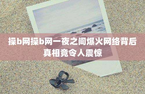 操b网操b网一夜之间爆火网络背后真相竟令人震惊