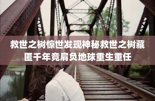 救世之树惊世发现神秘救世之树藏匿千年竟肩负地球重生重任