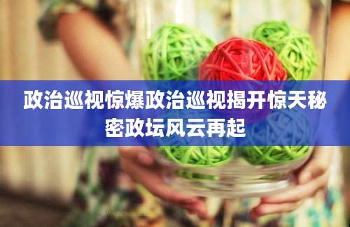 政治巡视惊爆政治巡视揭开惊天秘密政坛风云再起