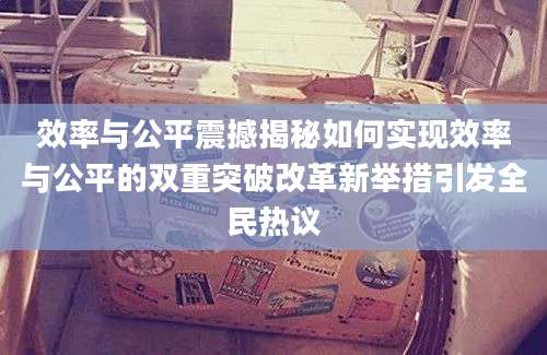 效率与公平震撼揭秘如何实现效率与公平的双重突破改革新举措引发全民热议