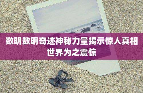 数明数明奇迹神秘力量揭示惊人真相世界为之震惊