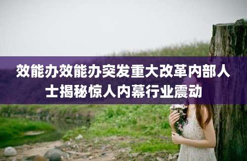 效能办效能办突发重大改革内部人士揭秘惊人内幕行业震动
