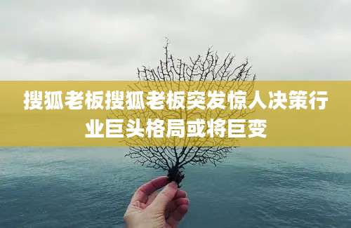 搜狐老板搜狐老板突发惊人决策行业巨头格局或将巨变