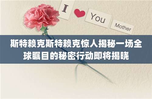 斯特赖克斯特赖克惊人揭秘一场全球瞩目的秘密行动即将揭晓