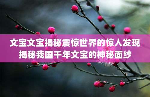文宝文宝揭秘震惊世界的惊人发现揭秘我国千年文宝的神秘面纱