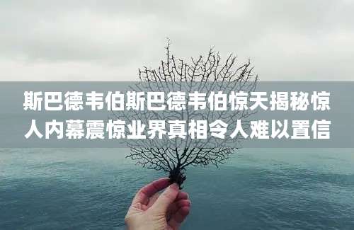斯巴德韦伯斯巴德韦伯惊天揭秘惊人内幕震惊业界真相令人难以置信