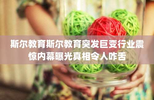 斯尔教育斯尔教育突发巨变行业震惊内幕曝光真相令人咋舌