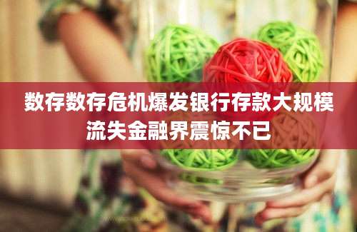 数存数存危机爆发银行存款大规模流失金融界震惊不已